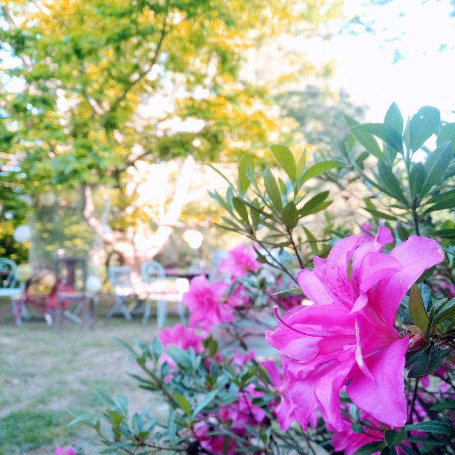 Bed and Breakfast Domaine De La Clef Des Champs Limeray Экстерьер фото
